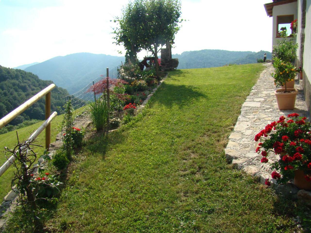 Apartmaji Nena Rocinj Exterior photo
