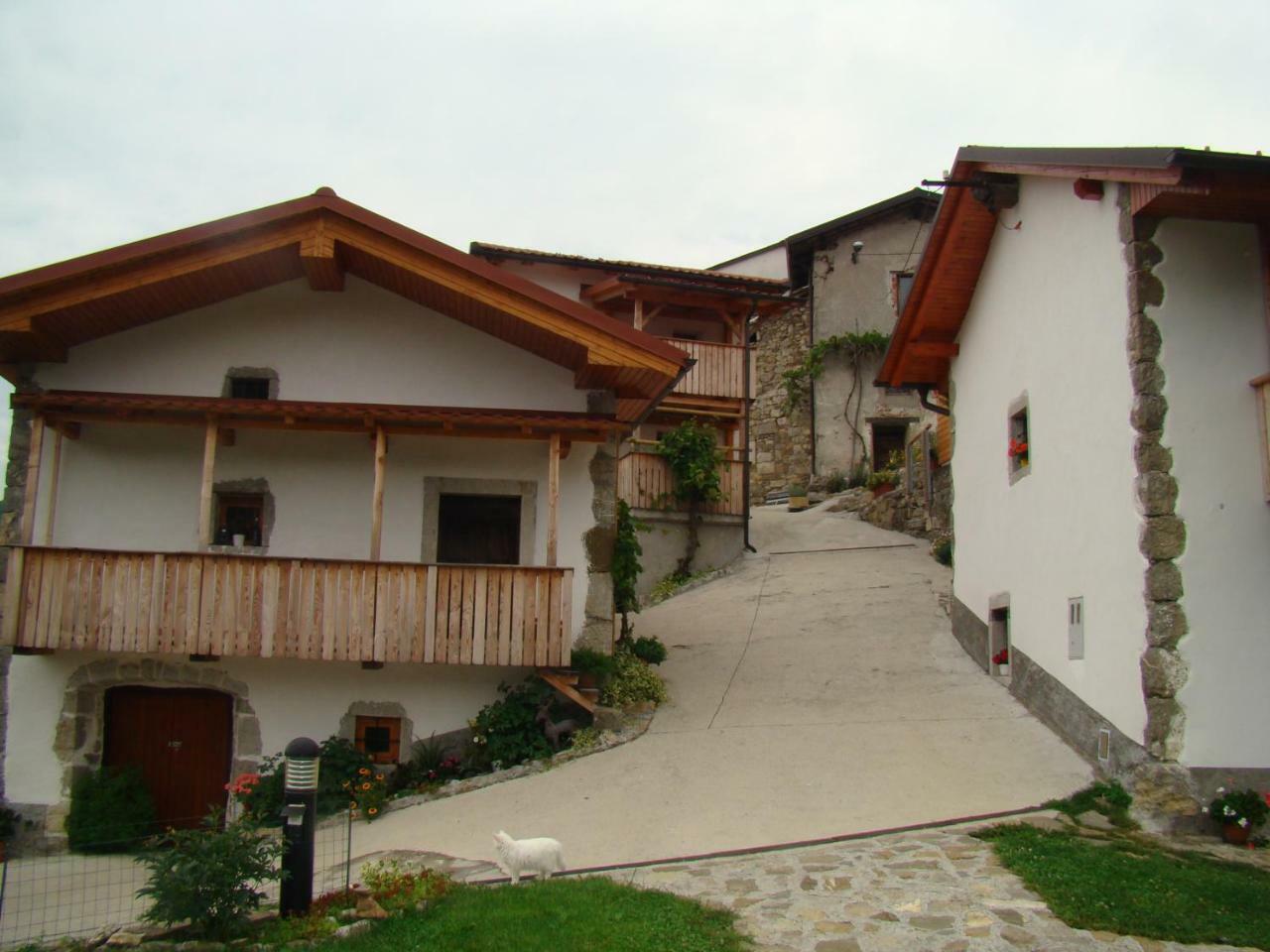 Apartmaji Nena Rocinj Exterior photo