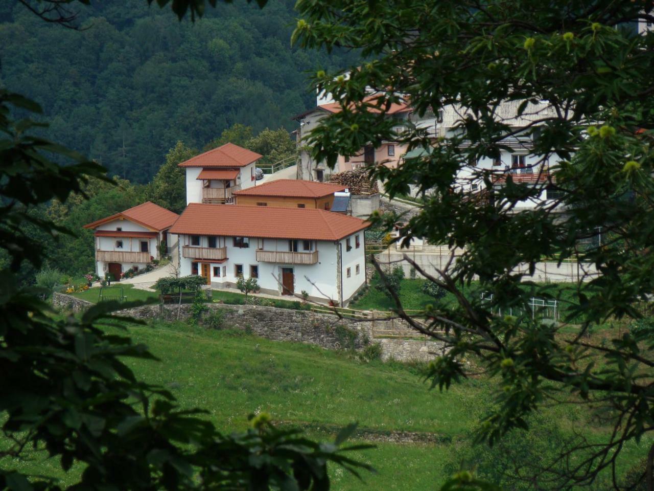 Apartmaji Nena Rocinj Exterior photo
